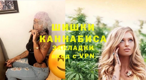 дживик Елизово
