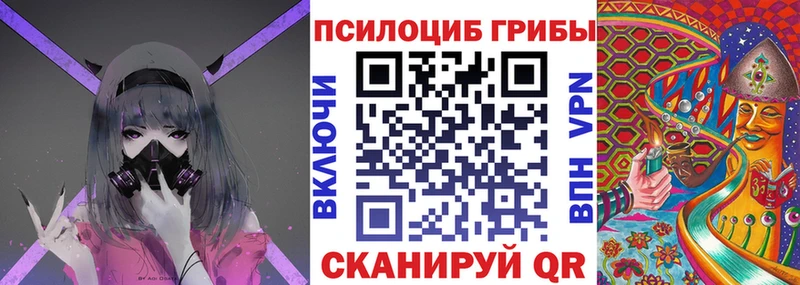 Псилоцибиновые грибы Cubensis  где купить   нарко площадка клад  Иланский  MEGA tor 